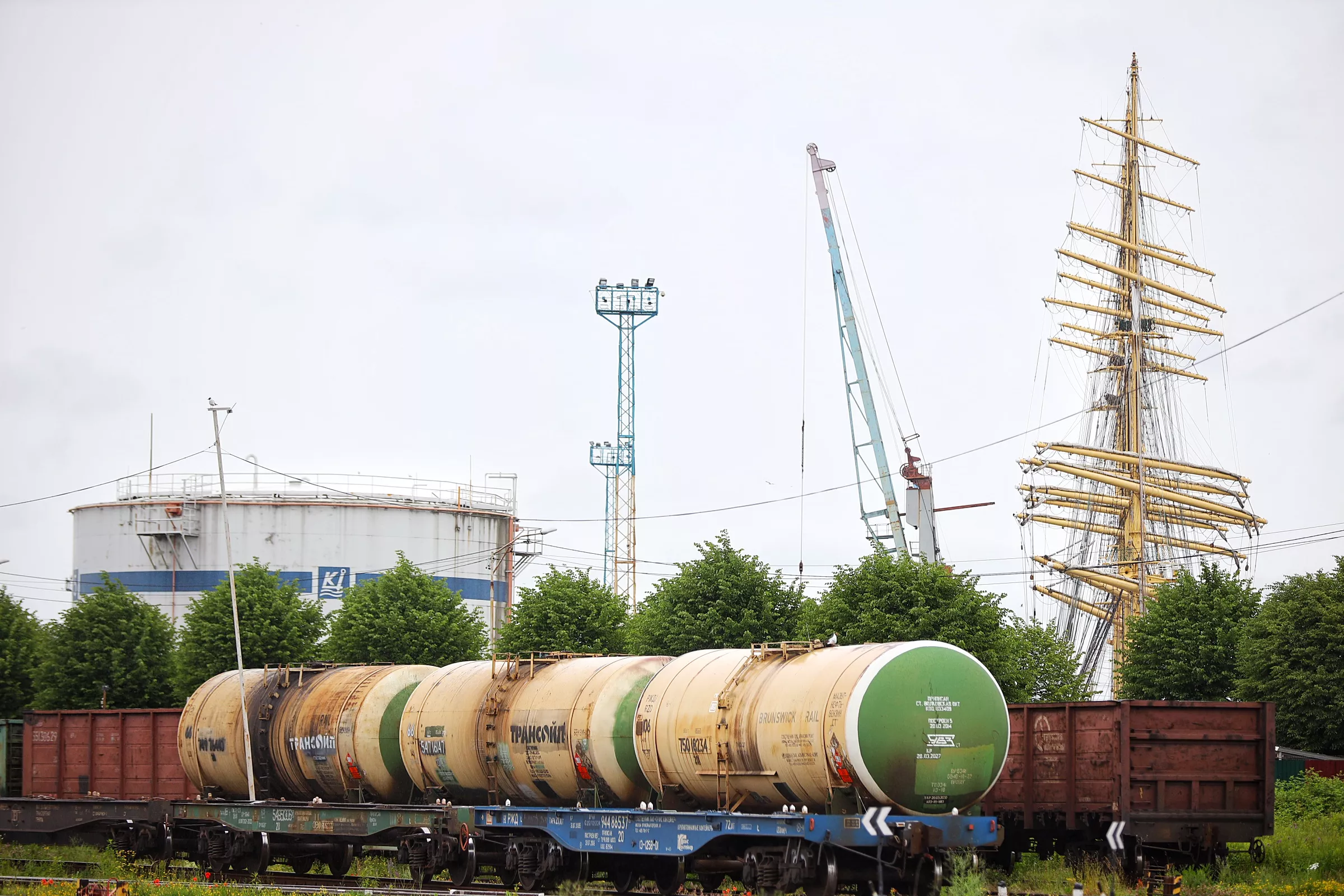 Александр Подгорчук