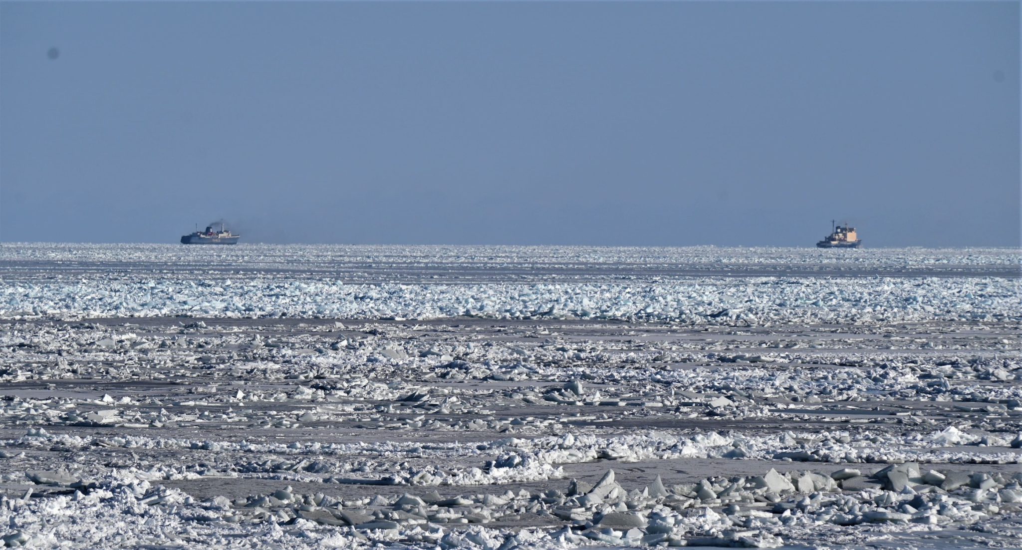 Фото: АМП Охотского моря и Татарского пролива