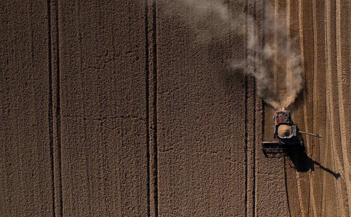 Dan Kitwood / Getty Images