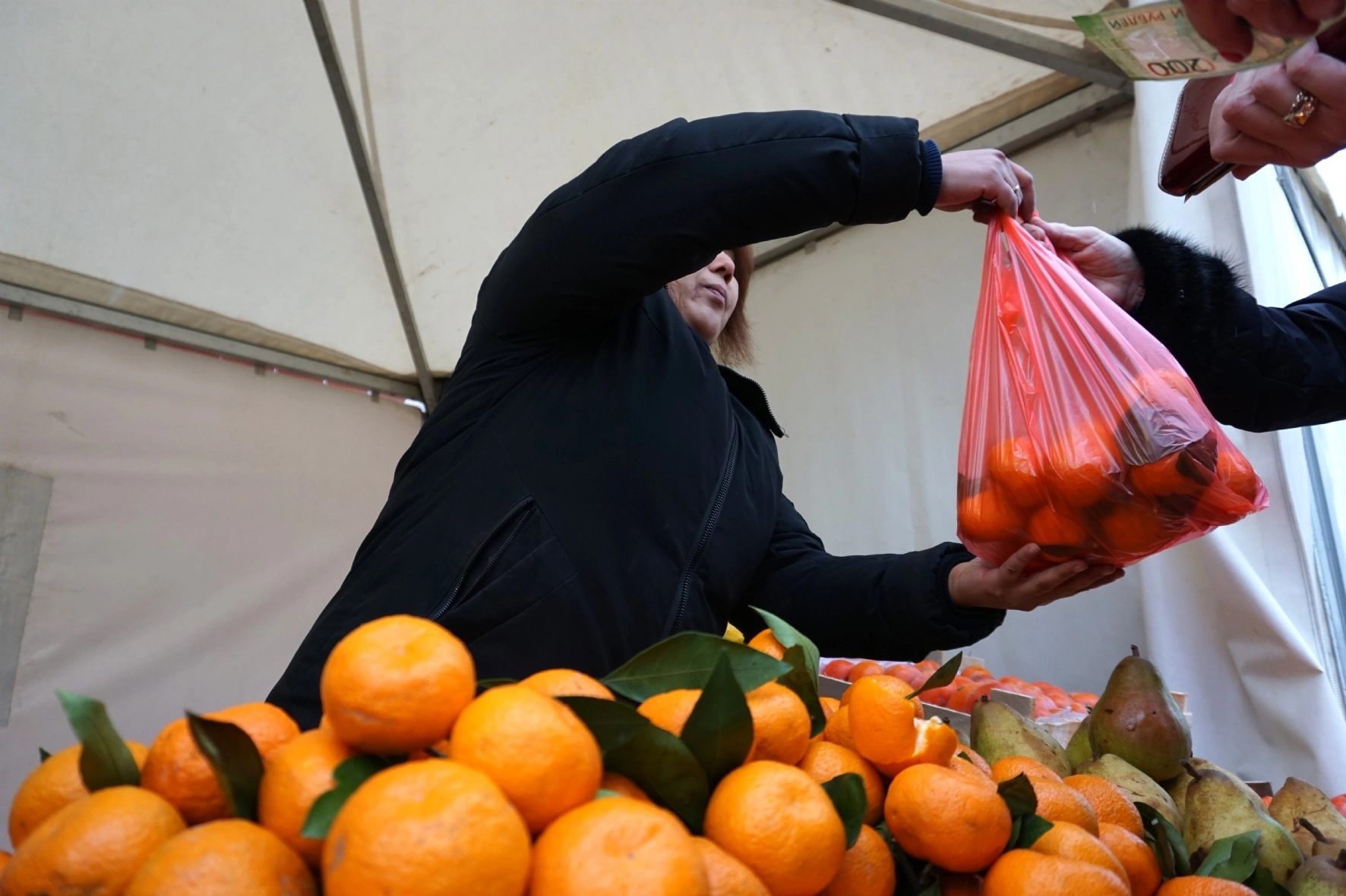 Артеменков Александр / PhotoXPress.ru