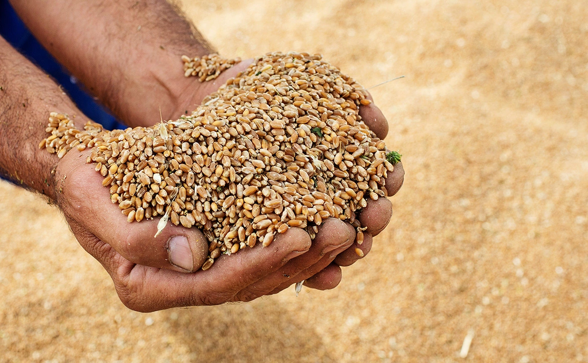 Илья Питалев / РИА Новости