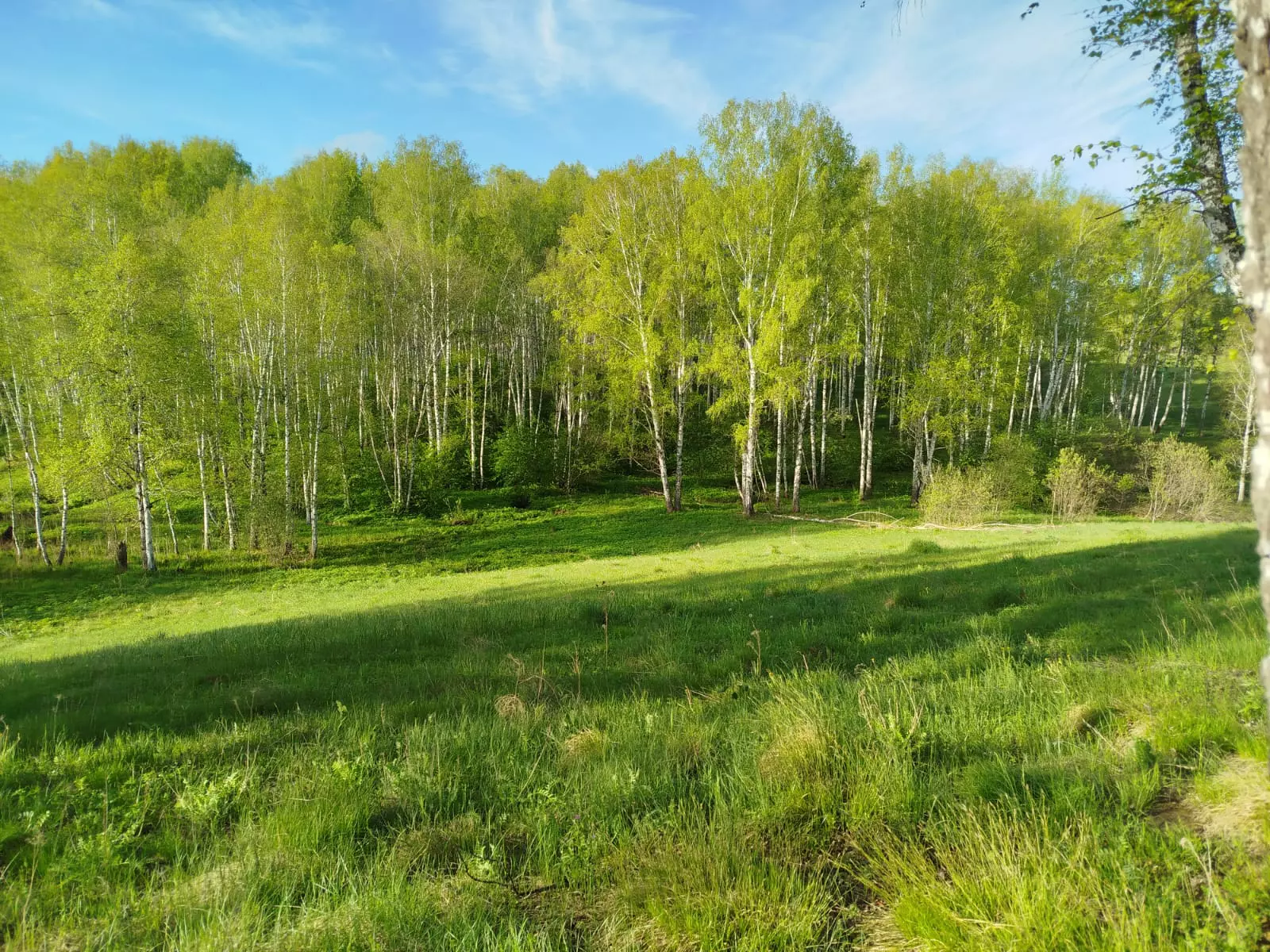 РБК Новосибирск