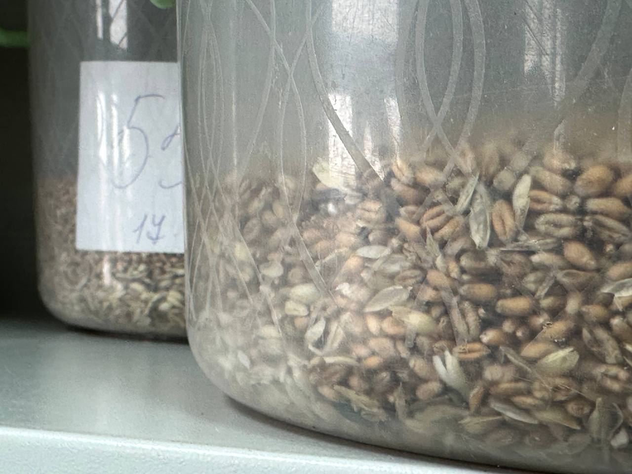 Фото: РБК Татарстан