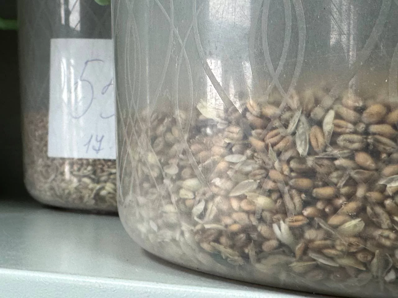 РБК Татарстан