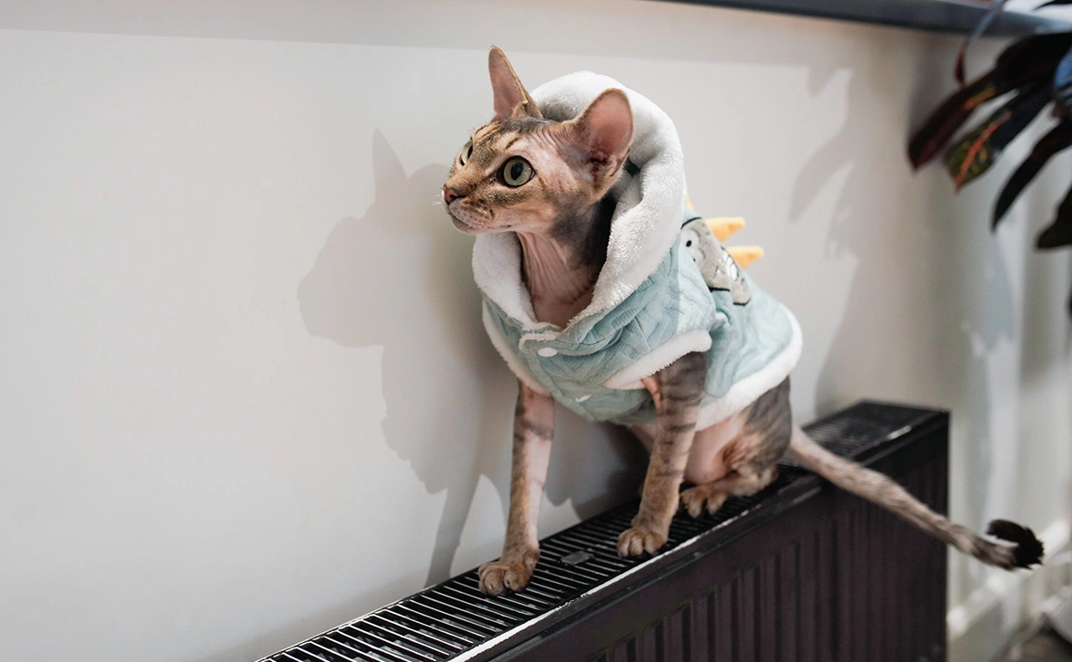 Александр Авилов / АГН «Москва»