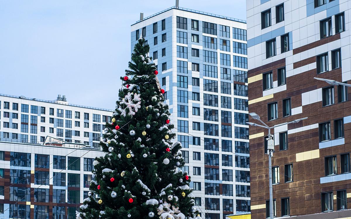 Фото: Artem Yampolcev / Shutterstock / FOTODOM