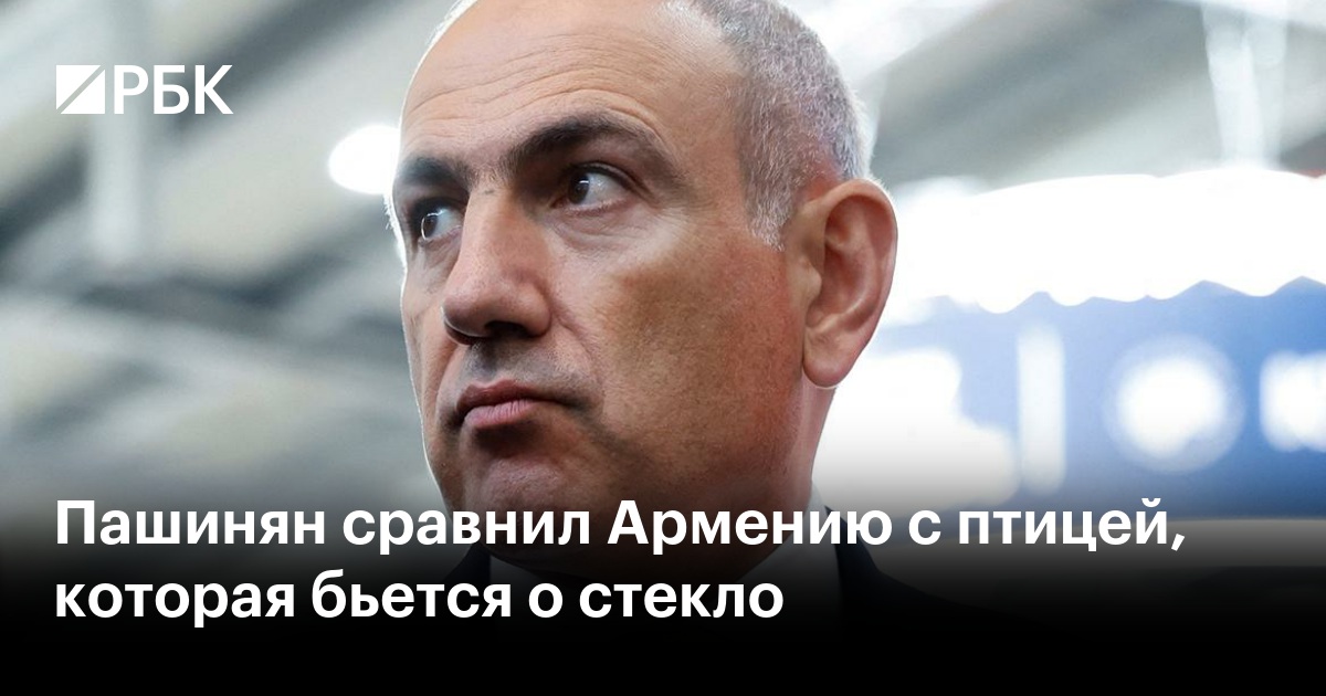 Пашинян сравнил Армению с птицей, которая бьется о стекло