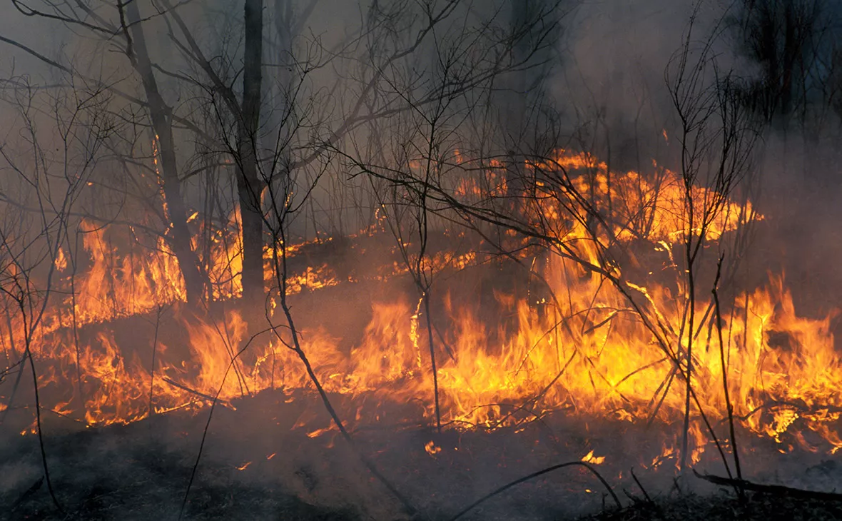 Константин Михайлов / Global Look Press