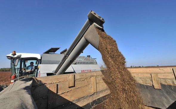 Митя Алешковский / ТАСС