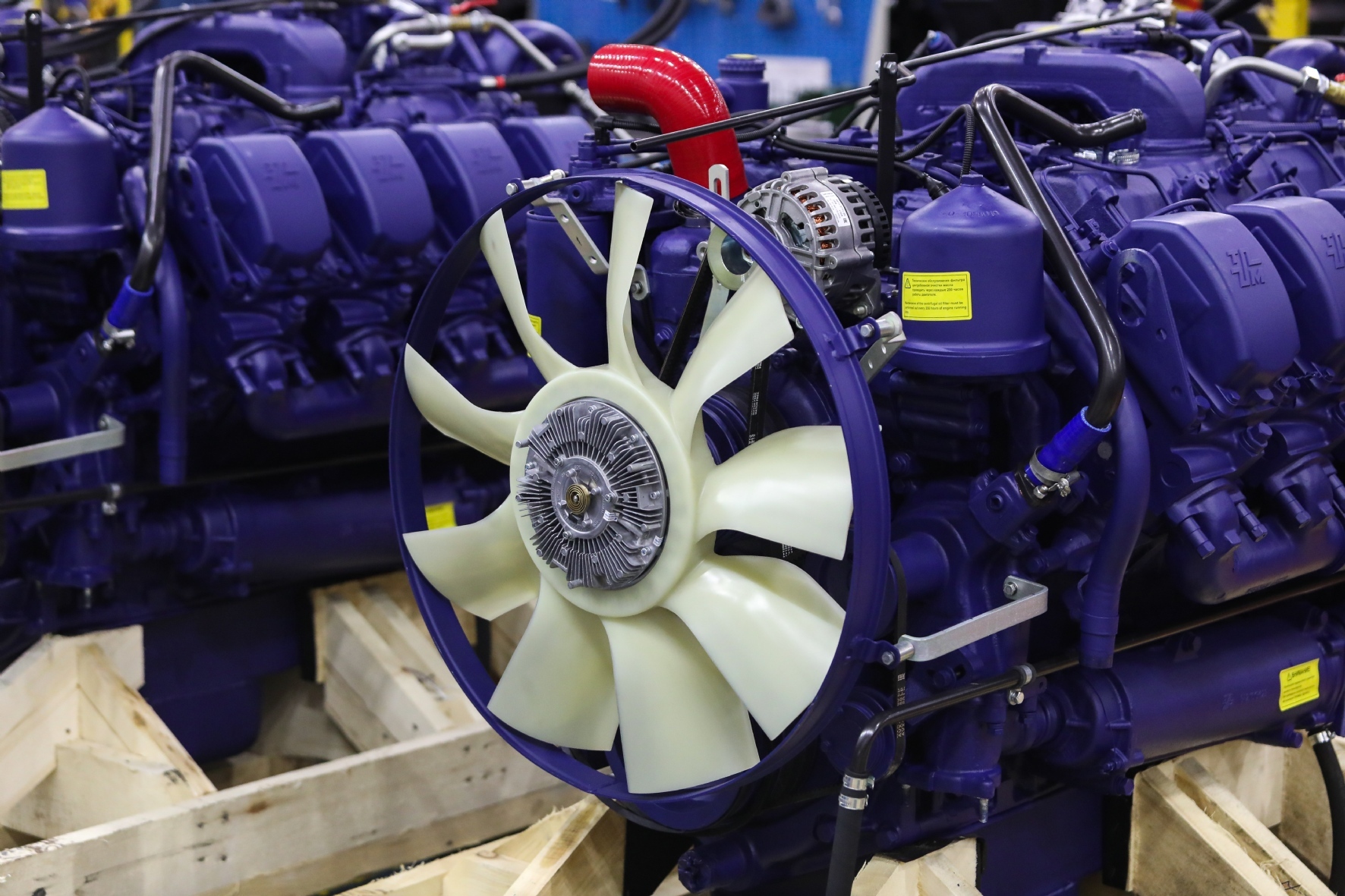 Фото: Пименов Роман/PhotoXPress.ru