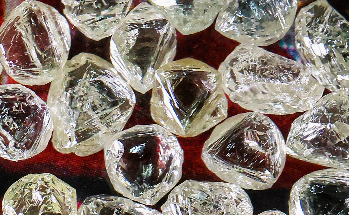 Фото: Александр Рюмин / ТАСС