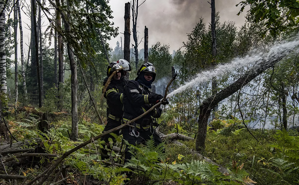 Валерий Мельников / РИА Новости