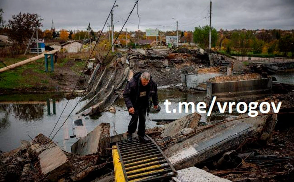 vrogov / Telegram