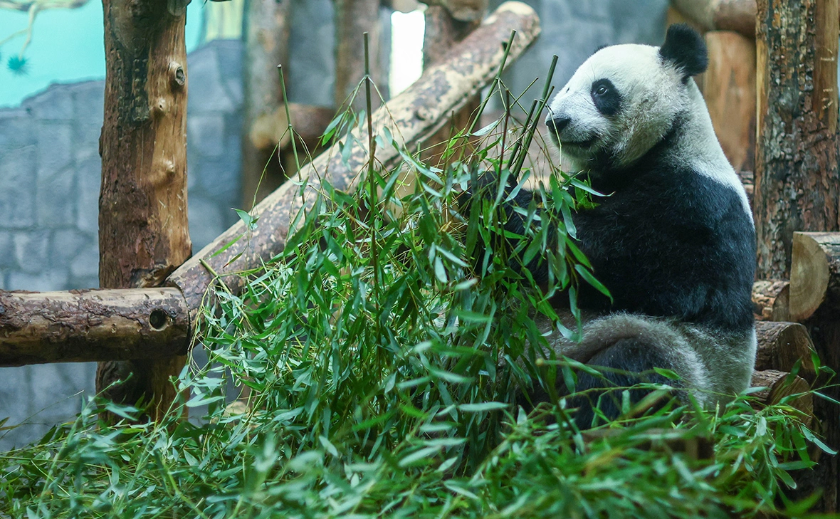 Сергей Петров / NEWS.ru / ТАСС