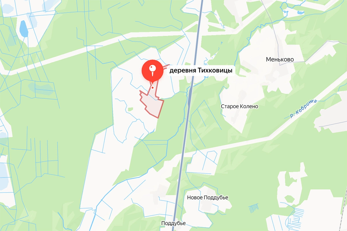 Здесь леса более лиственные, что определяет и видовой состав грибов