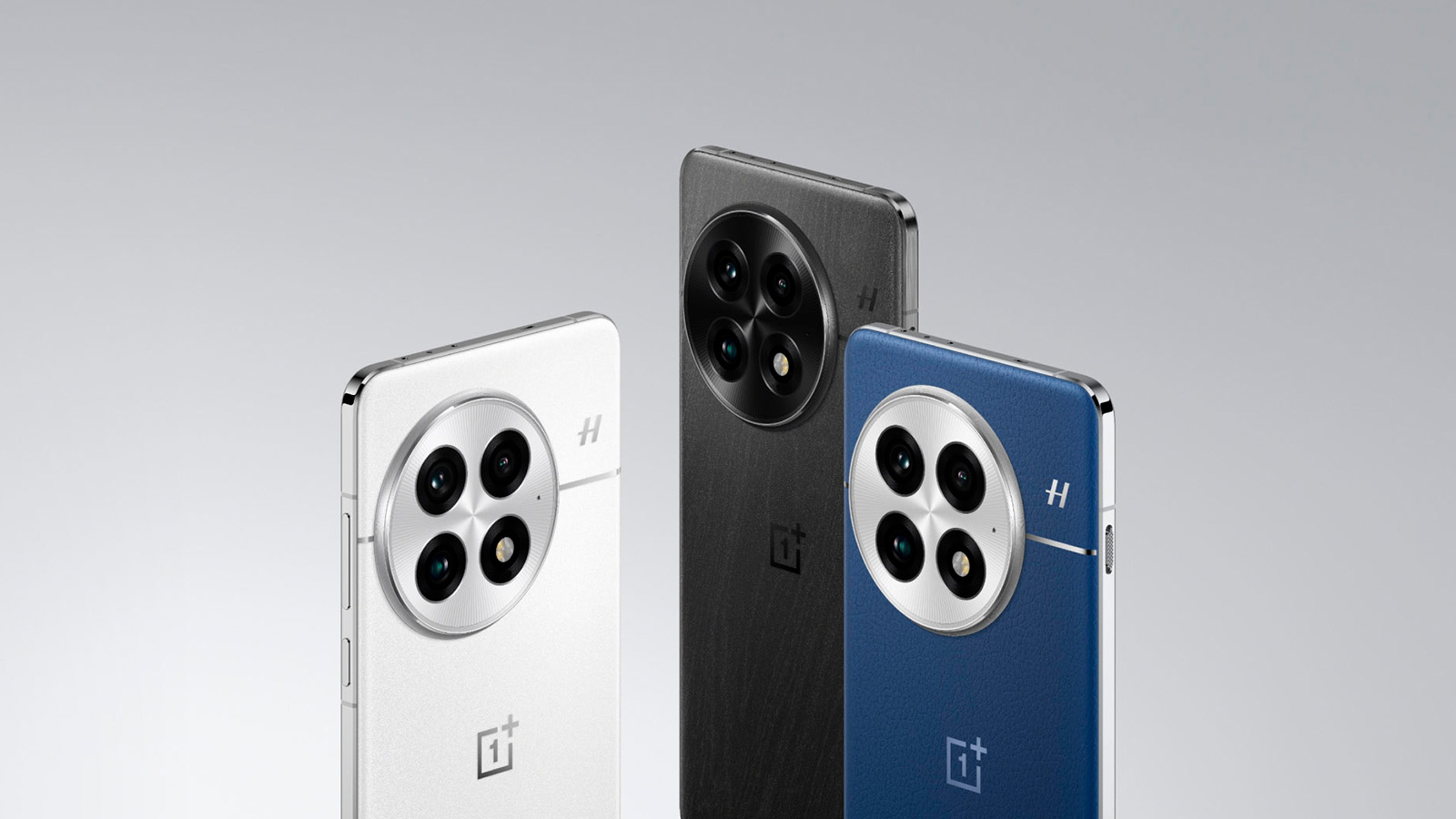 <p>OnePlus 13</p>