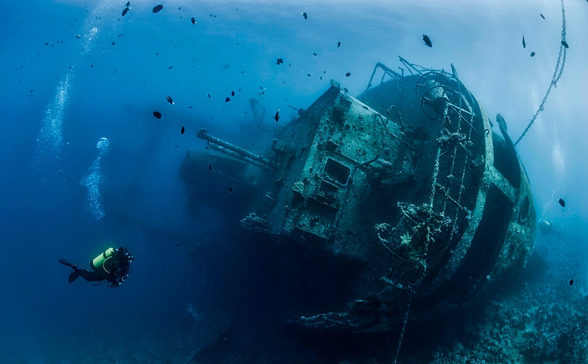 Nicolas-SB / Shutterstock