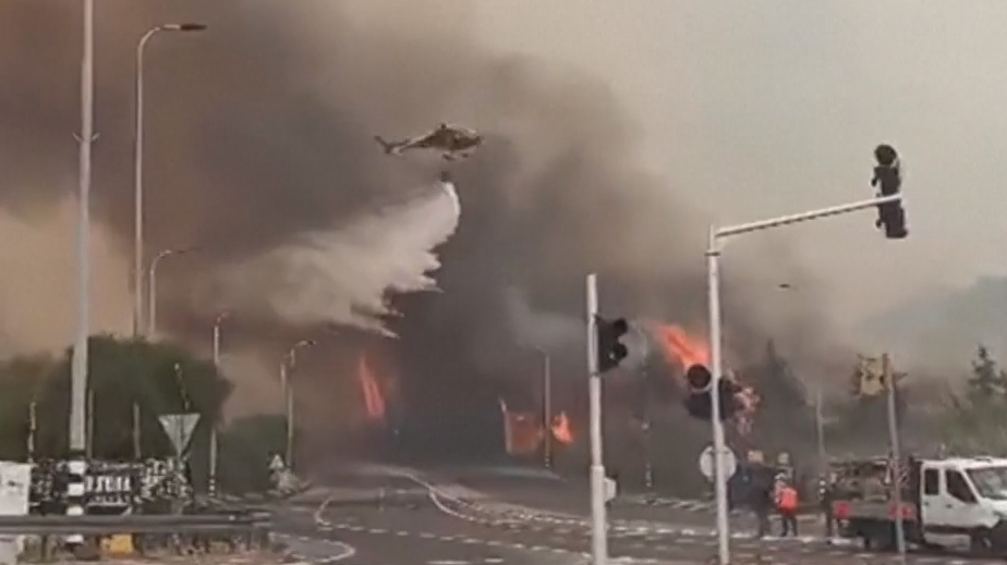 Масштабные лесные пожары в Израиле. Видео