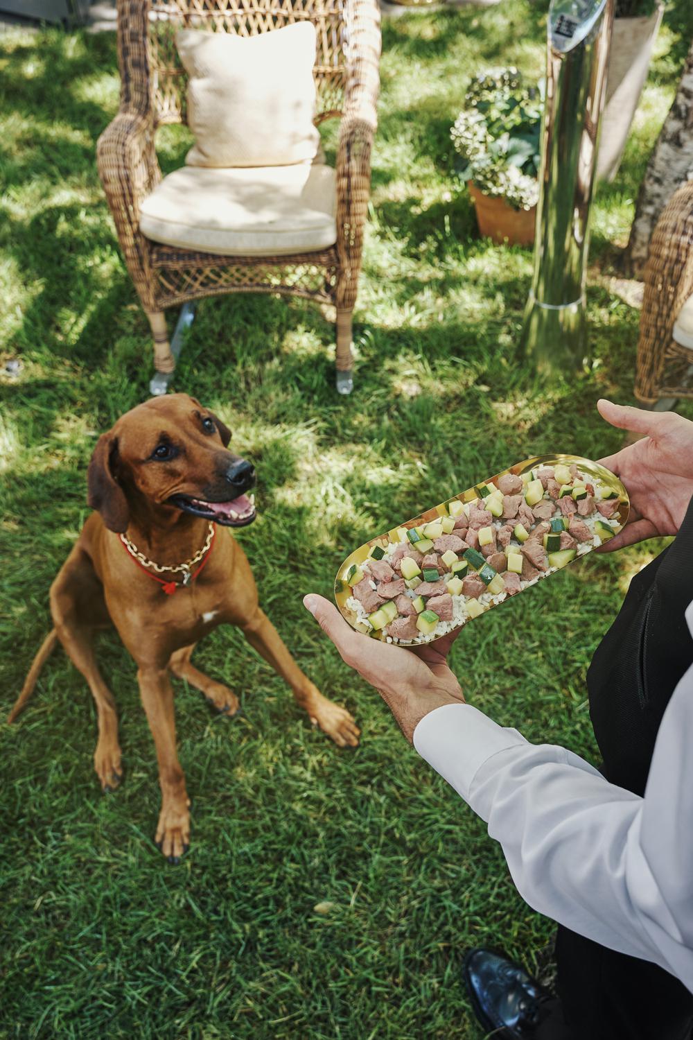 Фото: пресс-служба