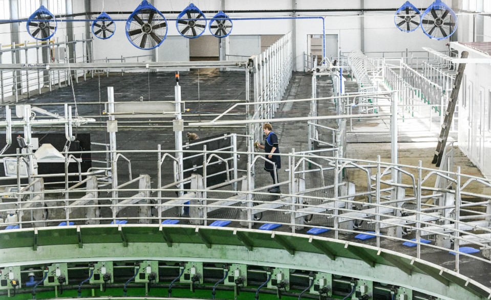 Фото: Владимир Жабриков / URA.RU