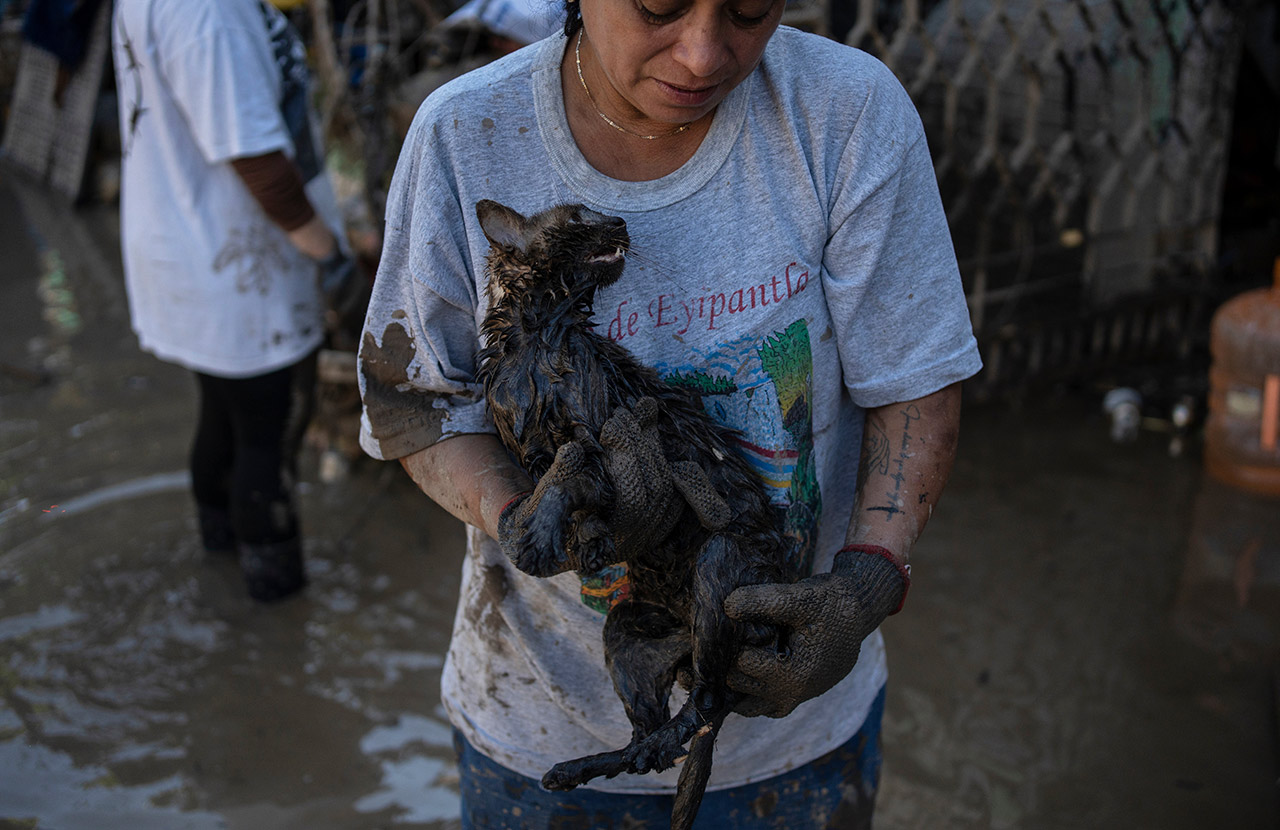 В центральной и юго-восточной частях страны резко поднялся уровень воды в реках. Больше других пострадали штаты&nbsp;Веракрус, Идальго и Пуэбла.