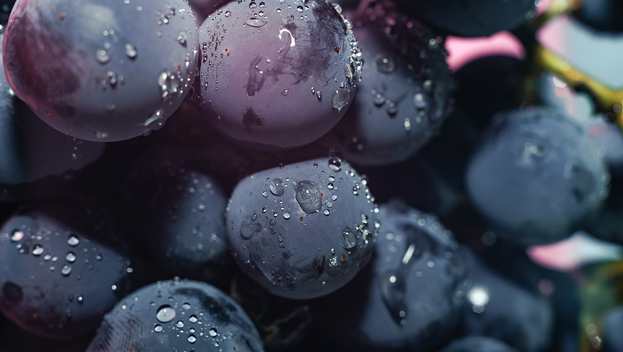 Есть ли будущее у северного вина из России: «Время вина» — на Радио РБК