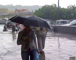 Москву и Петербург ждет штормовая погода