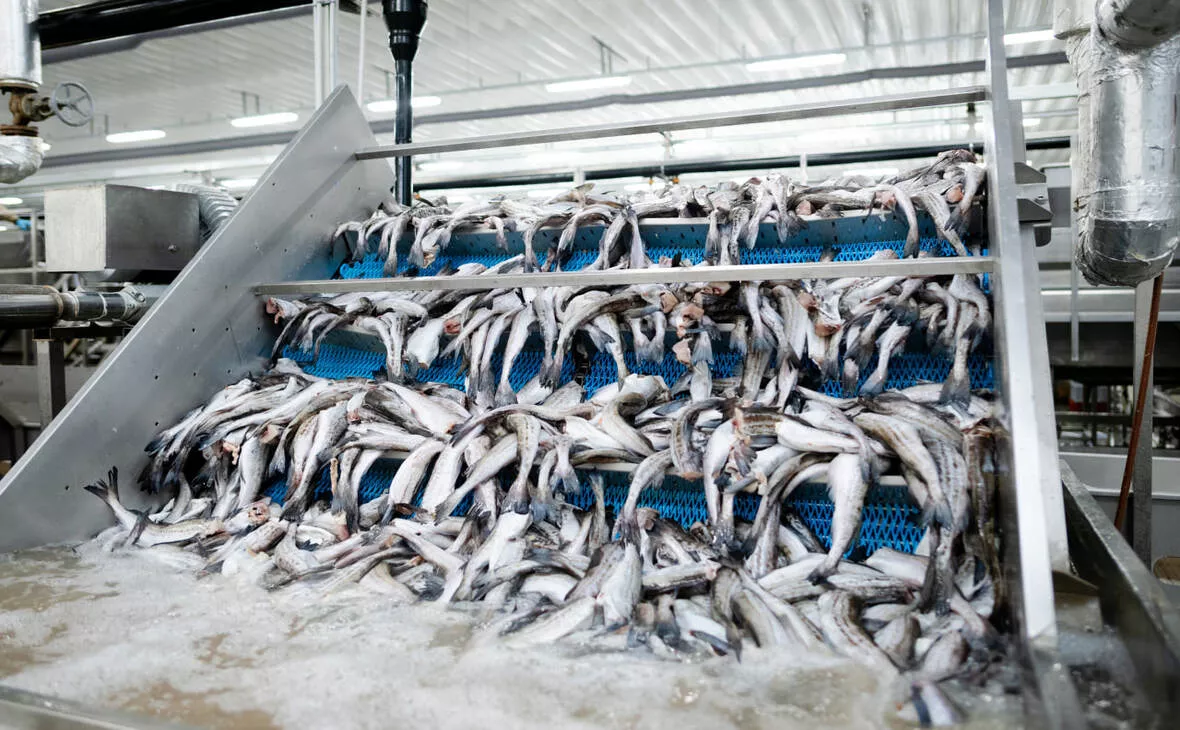 fish.gov.ru