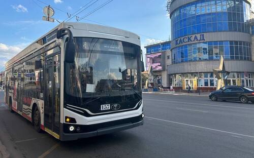 Фото: Вероника Матюхина / РБК Омск