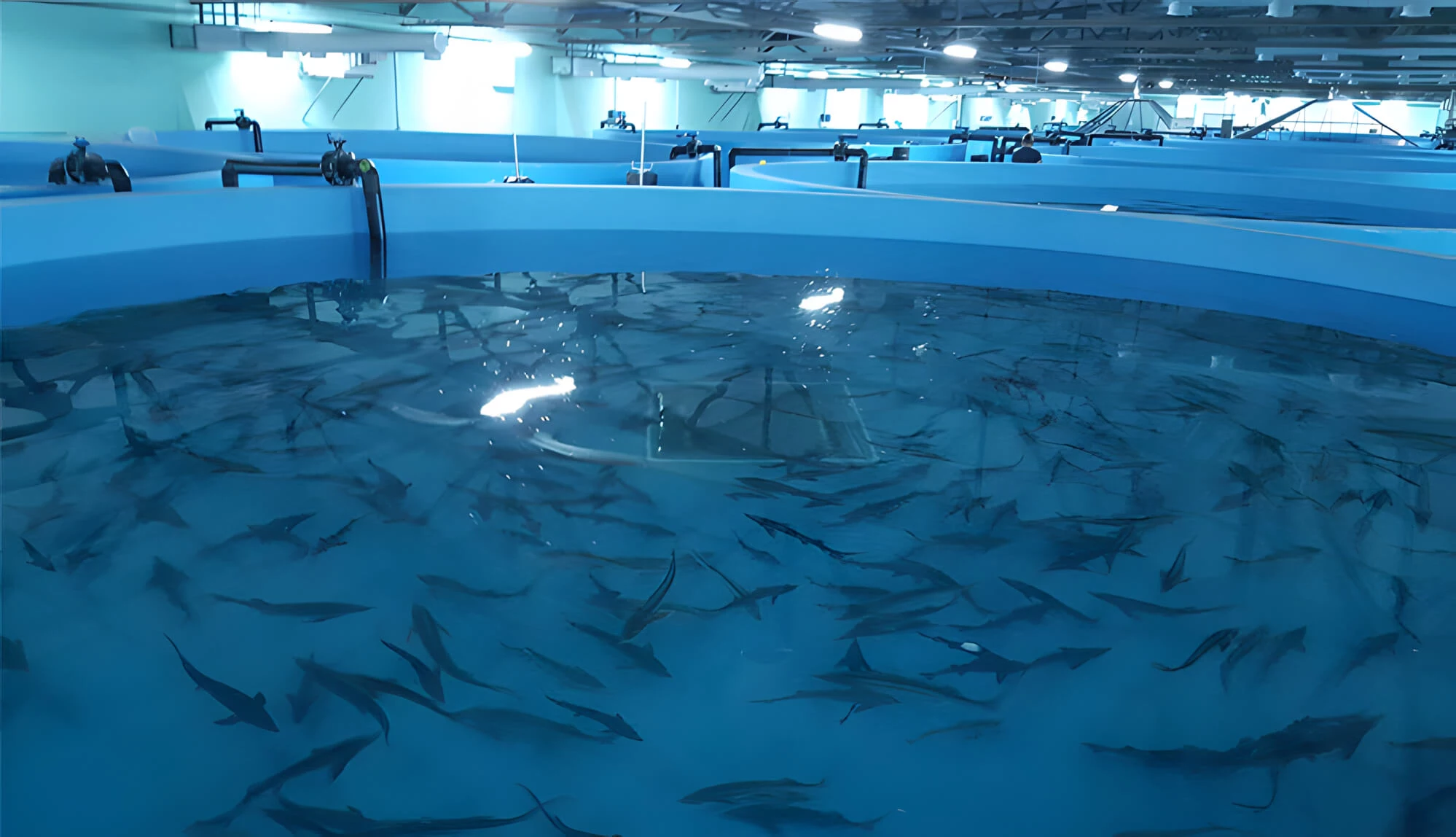 сайт регионального минсельхоза