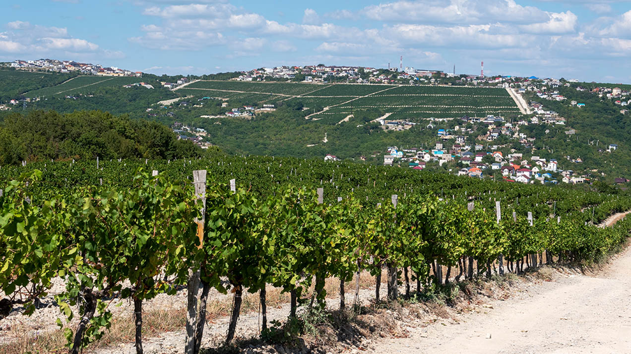 Место силы: как Кубань стала домом для самых разных людей