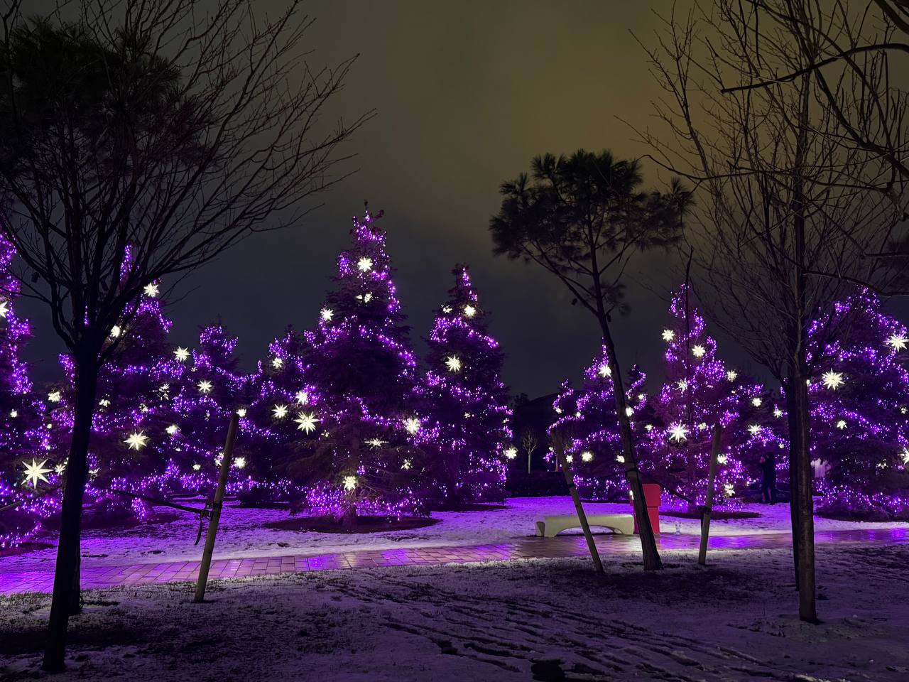 Фото: РБК Краснодар