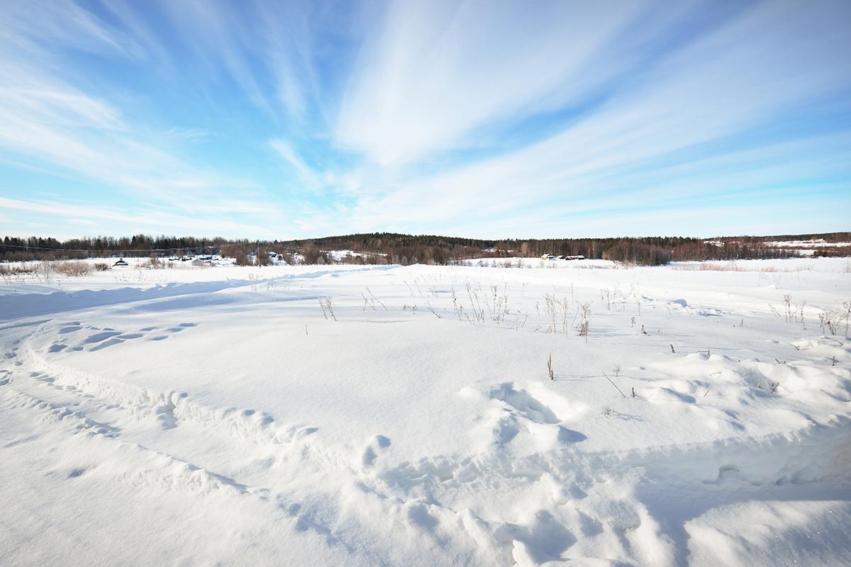 Фото: Alex Stemmer / Shutterstock / FOTODOM