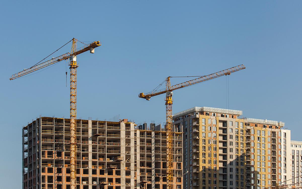 Фото: kadetfoto / Shutterstock / FOTODOM