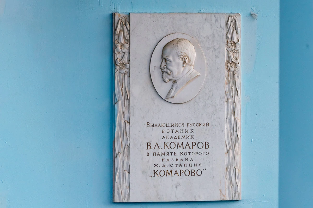 Комарово, железнодорожная станция