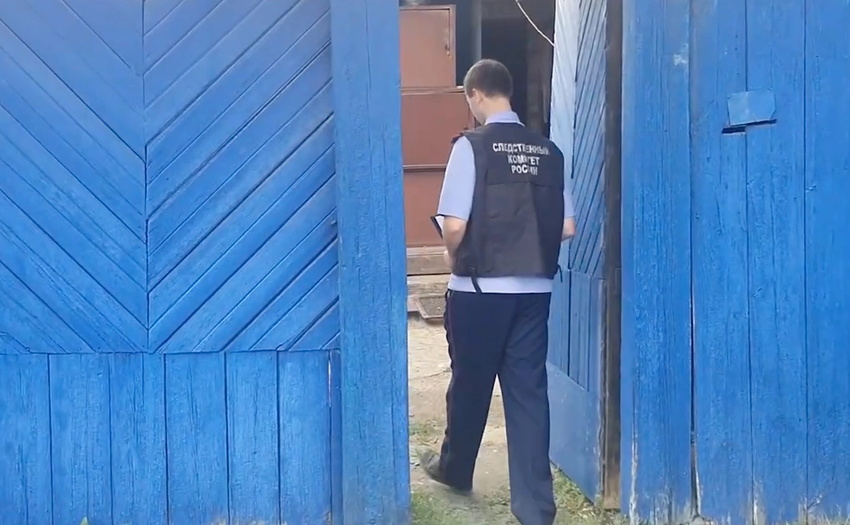 Следственный комитет РФ