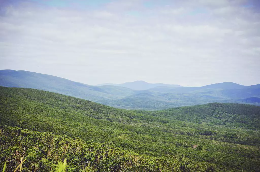 РБК Приморье