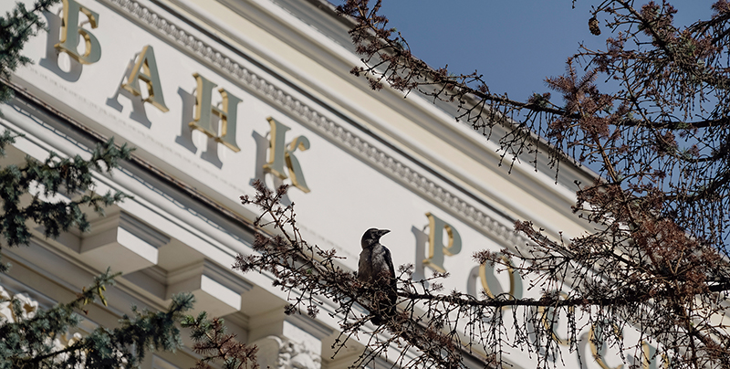 Фото: Михаил Гребенщиков / РБК