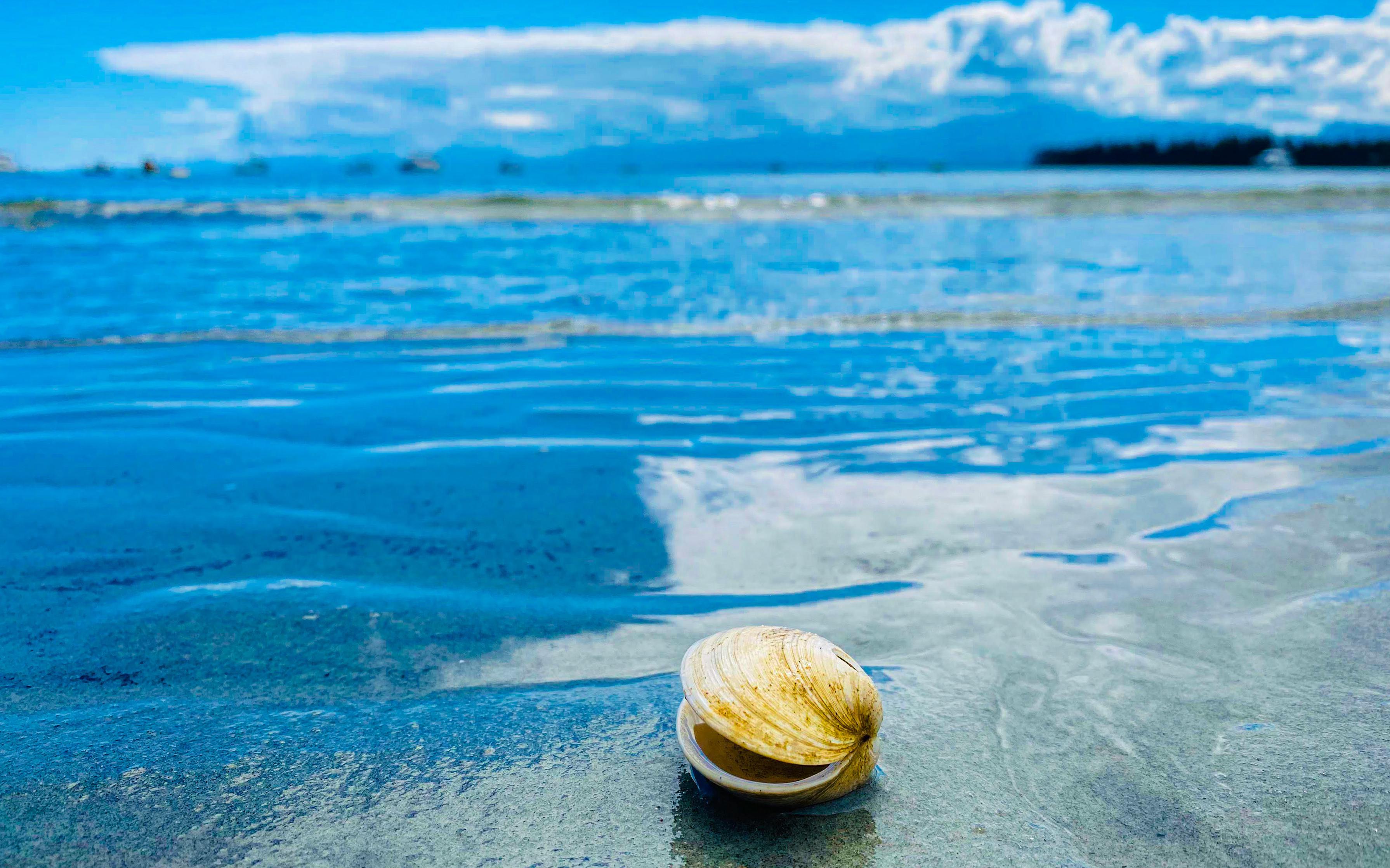 Фото: Unsplash
