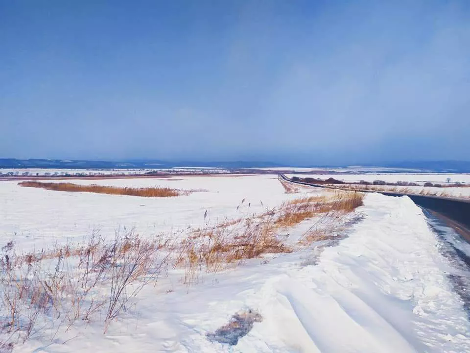 РБК Приморье