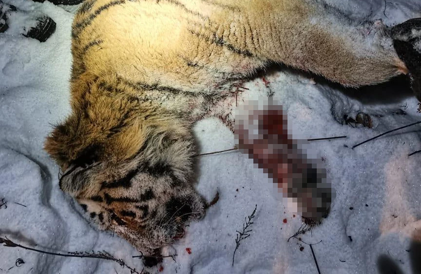 Министерство лесного хозяйства, охраны окружающей среды, объектов животного мира и природных ресурсов Приморского края