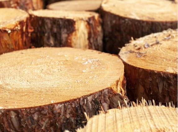 Вологодское предприятие оптимизирует производство за 352 млн рублей