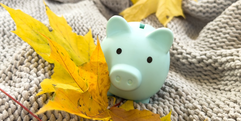 Фото: Shutterstock