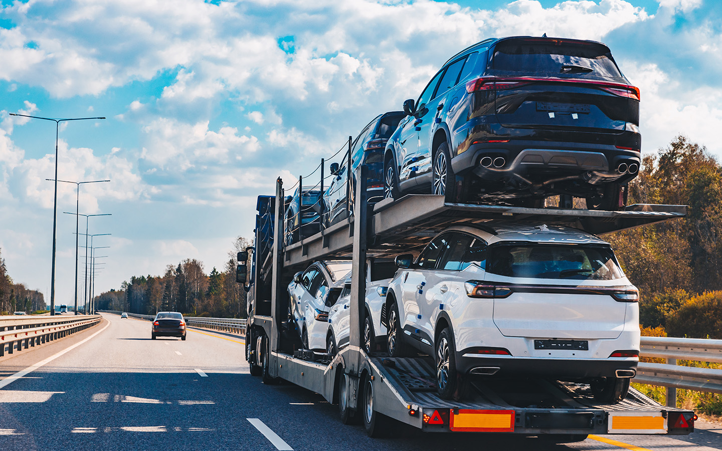 Фото: nblx / Shutterstock / FOTODOM