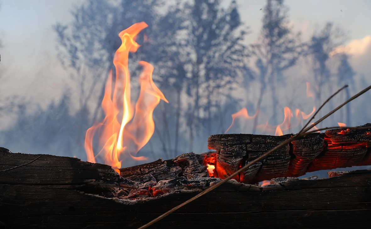 Александр Рюмин / ТАСС