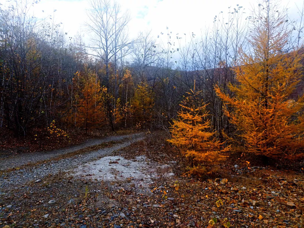 РБК Приморье