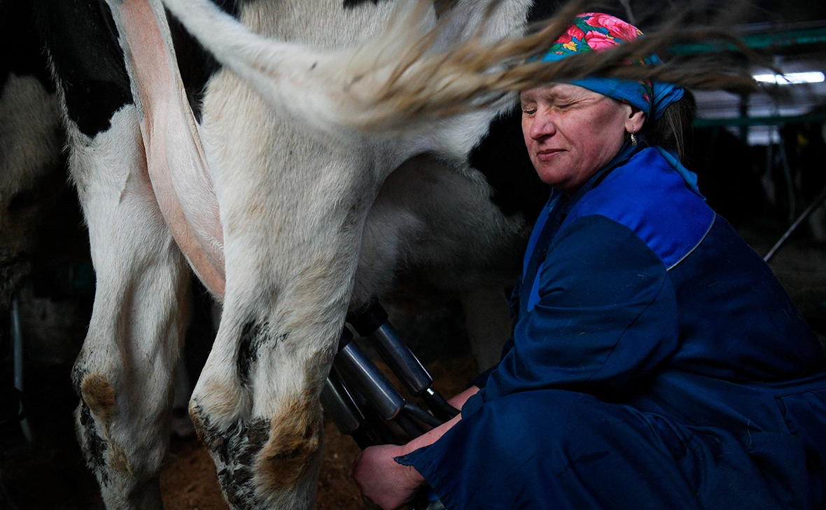 Александр Кряжев / РИА Новости