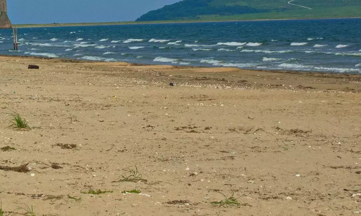 РБК Приморье