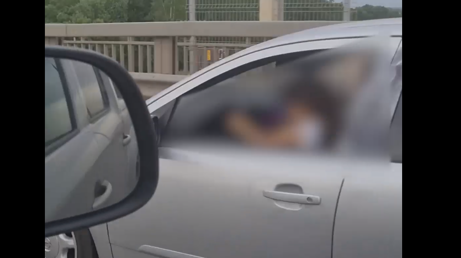 Рязанская ГАИ начала проверку из-за видео с ребенком за рулем легковушки