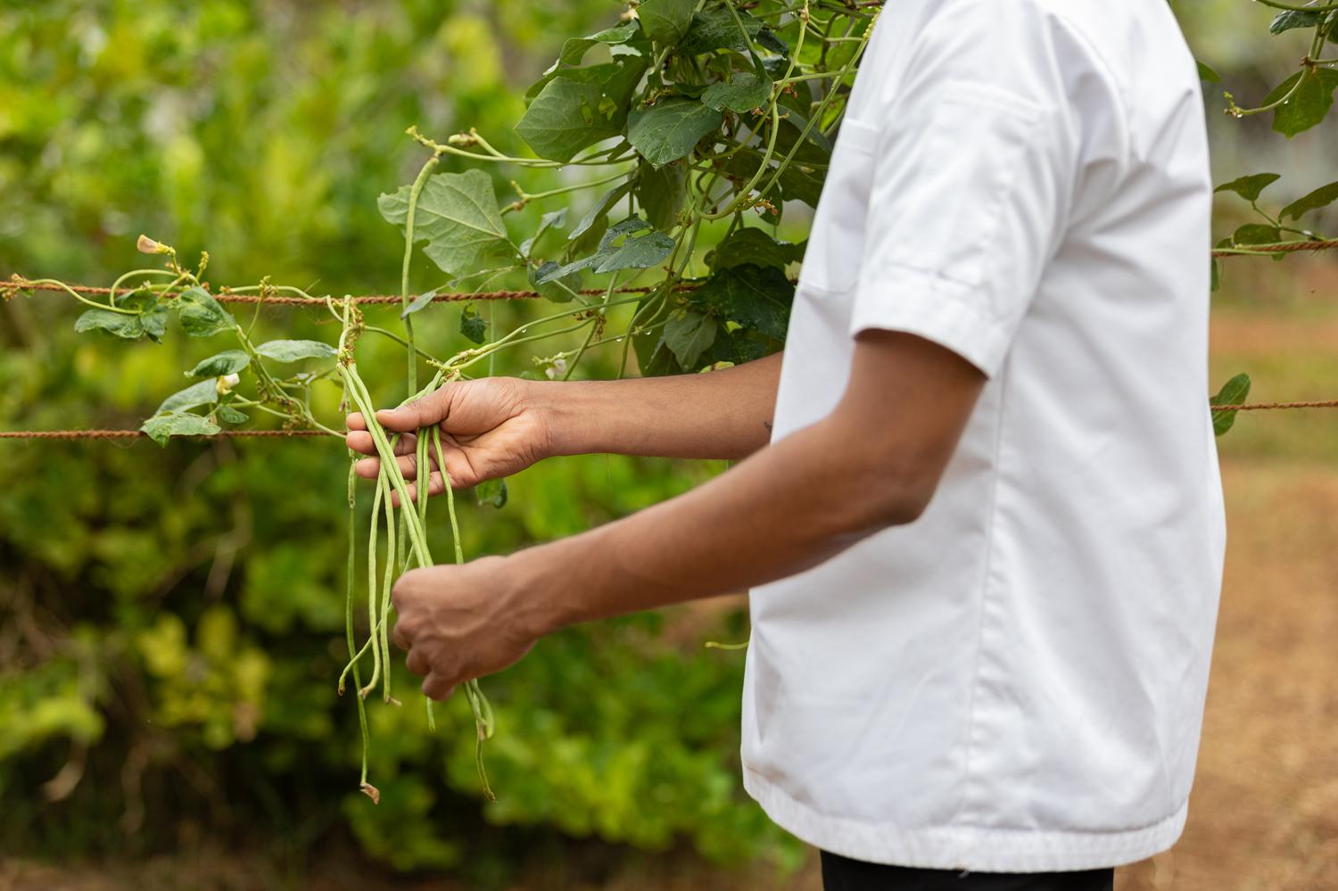 Фото: пресс-служба